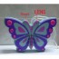Bathroom Spy Shower Radio Camera - HD Butterfly Shower Radio hidden Pinhole HD Bathroom Spy Camera DVR 32GB 1280X720